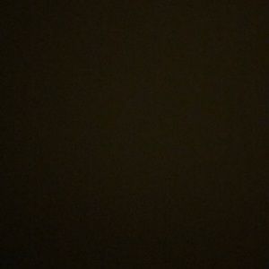 Meet your Posher, Tasso